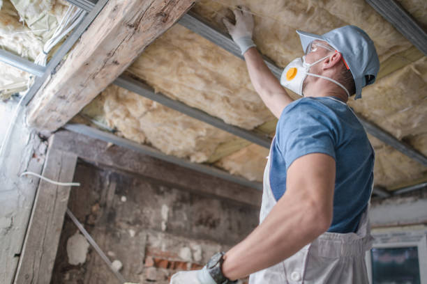 Best Insulation Materials and Products in Aquia Harbour, VA