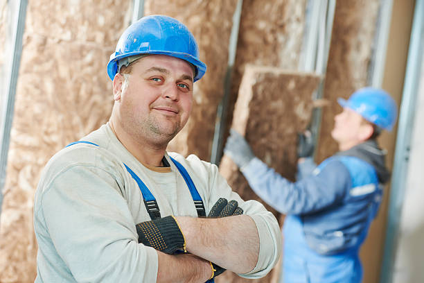 Best Insulation Installation Services in Aquia Harbour, VA